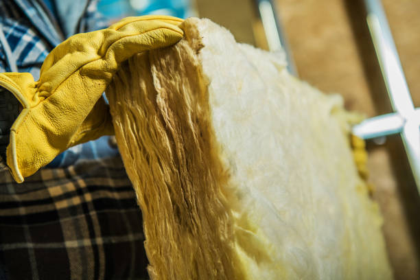 Best Specialized Insulation Services in Saukville, WI